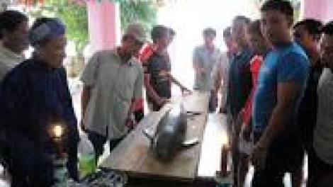 khau tin 6tuk30 harei 16/2