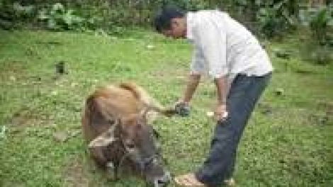 khau tin 10h30 saong 14tuk30 harei 19/2