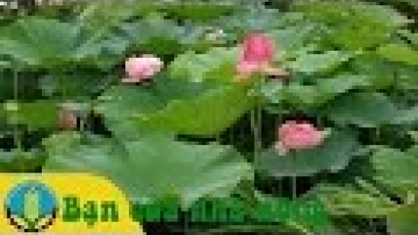 Khaw tin tuk 19g harei 2/2 saong 6h30 harei 3/2