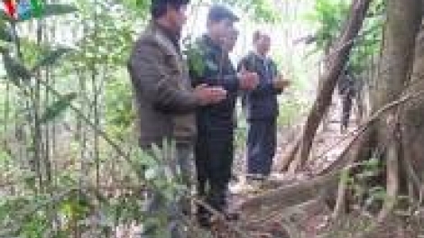 khau tin 10tuk 30 saong 14tuk30 harei 23/2