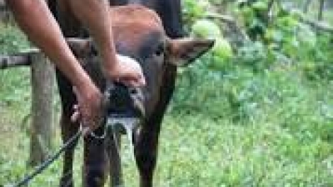 khau tin 6tuk30 harei 23/2