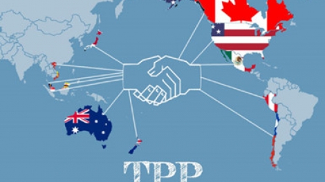 Khaw tin 10h30 saong 14h30 ngày 4/2/2016