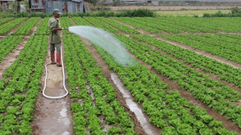 Khaw tin 19h harei 16/3 saong 6h30 harei 17/3