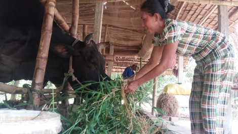 Sa-ai Ly Thi Benh bangsa Khmer ngak mbang naih joi