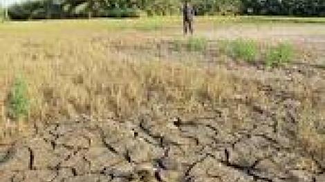 khau tin 19tuk harei 24/3