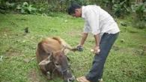 khau tin 10tuk30 saong 14tuk30 harei 25.3