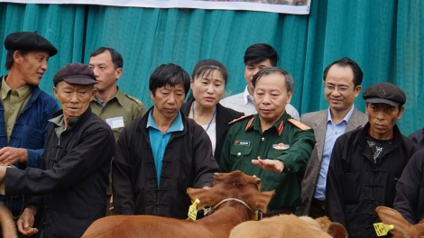 Khau tin 10h30 saong 14h30 harei 26/10