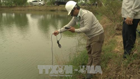 Khau tin 10h30 saong 14h30 harei 24/10