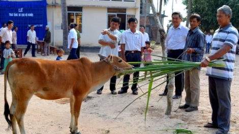 Khau tin 10h30 &14h30 harei  4/8/2017