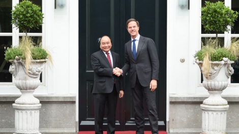 Khau tin 10h30 saong 14h30 harei 11/7