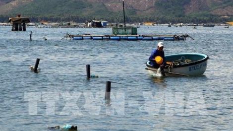 Khau tin 6h30 harei 13/5