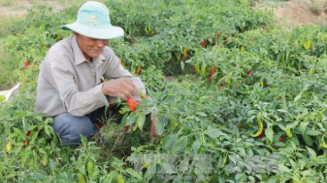 Bình Dương: ngak hagait piah pacang cakak ô nhiễm môi trường di dom khu công nghiệp