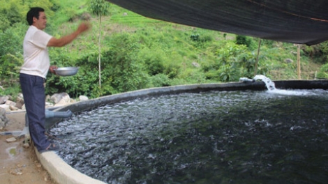 Khau tin 6h30 harei 20/9