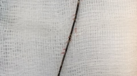 Khau tin 6h30 harei 26/10