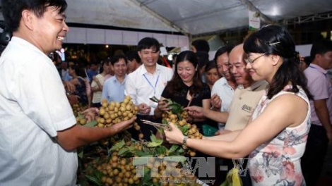 Khau tin 6h30 harei 9/8