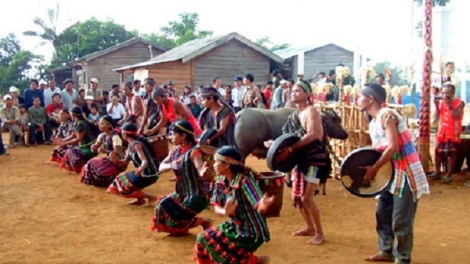 Lễ cúng kabau di bangsa M’nông harei 12/8