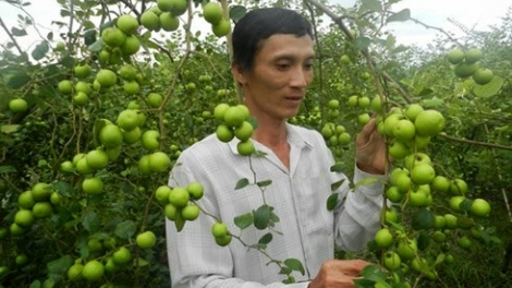 Ilamu piah ngak brei medar hu rilo baoh saong yamen bingi harei 27/9