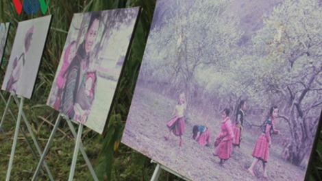 Khau tin ilamu harei 22/1