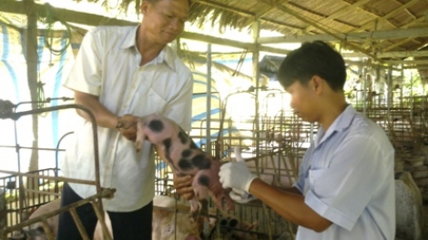 Bhum tapen negar Dong Thap pakhang bruk pacang caga jit kum manuk ada