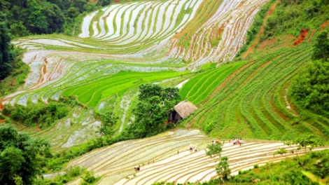 Khaw tin ilamu harei 12/2