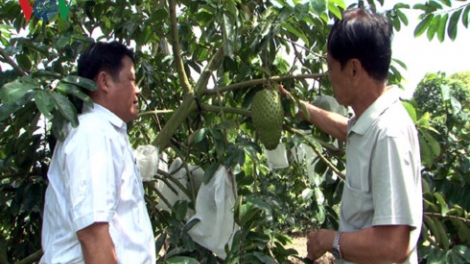 Hau Giang: Urang nong duah jien tame rilo meng thau palih jainh phun pala