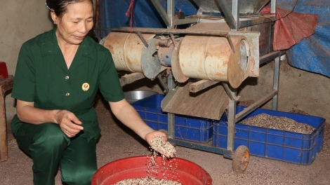 Khaw tin 6h30 harei 24/11/ 2017