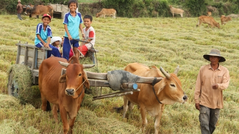 Duh hatai rah tabiak bruk rong hadang takai patih tự nhiên