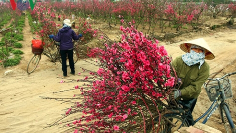 Khaw tin 6h30 harei 6/1