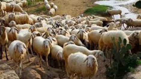 Khawtin 10h30 saong 14h30 harei 6/3