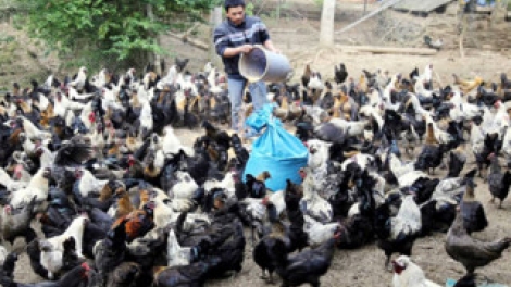 Khaw tin 6h30 harei 20/7