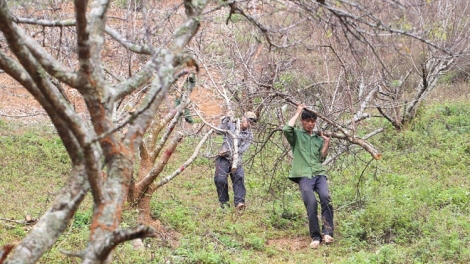 Khaw tin bair harei 12/1