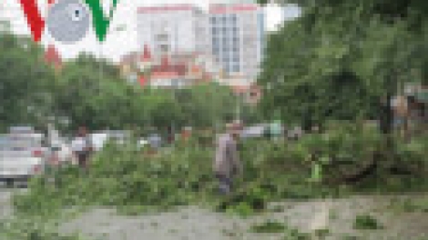 Khaw tin 10h30 saong 14h30 harei 17/7