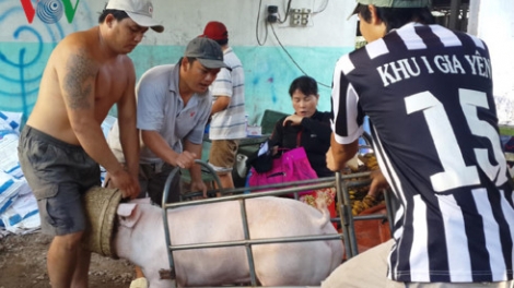 Khaw tin tuk 6h30 harei 11/10