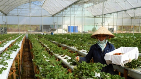 Khaw tin 6h30 harei 31/5​