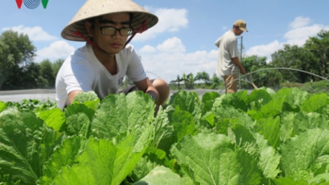 Urang nong Binh Thuan padang angan njam an toàn