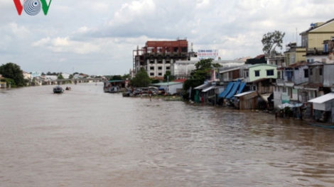 Vinh Long: bhapbini daok dalam duh hatai kayua huac glut jaleih