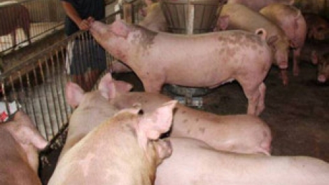 Khaw tin page harei 5/5/2017