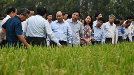 Khaw tin pagaiy harei 15/3