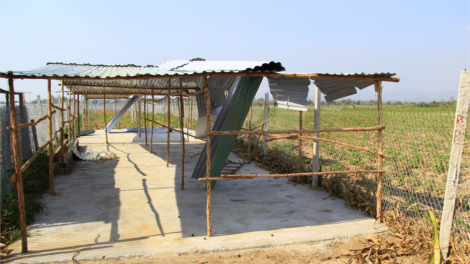 Khau tin 10h30 & 14h30  harei  5/4