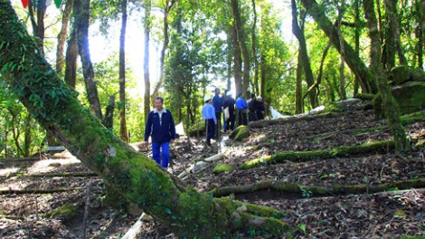 2 kein laba meng bruk pala sâm Ngọc Linh ala halui glai di Kon Tum