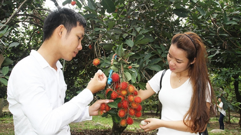 Pala phun mbang baoh jaln ngak mbang birau di urang nong huyen Thuan Nam