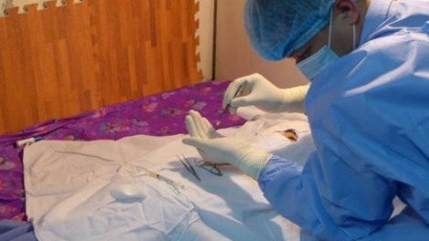 Khaw tin 6h30 harei 2/3