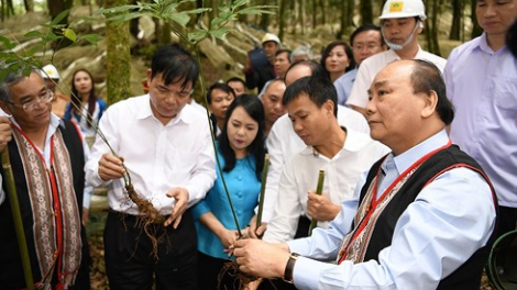 Khaw tin page harei 6/9