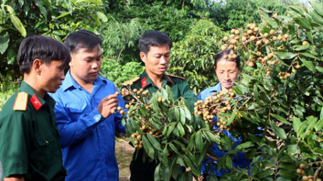 Ninh Thuận: Patagok baoh nho Vietgap pagam haong du lịch sinh thái bein ​