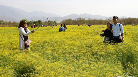 Khaw tin 6h30 harei 12/3/18