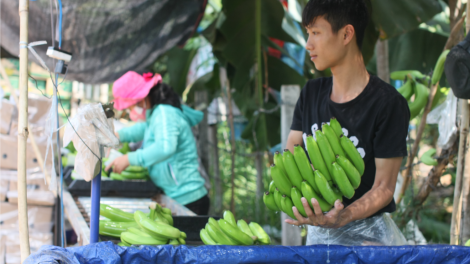 Khaw tin 6h30 harei 16/3