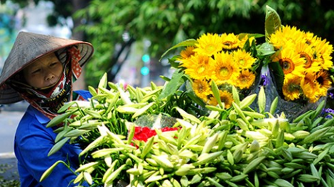 Khaw tin 6h30 harei 5/3