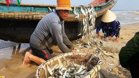 Khaw tin 10h30 saong 14h30 harei 9/3