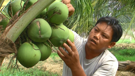 Bảo hiểm y tế, ghang an sinh xã hội bhum urang bangsa takik di Kon Tum