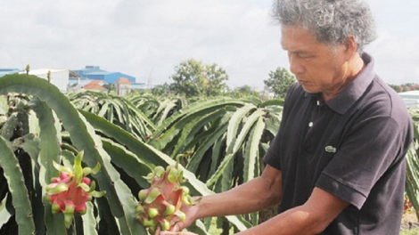 Kein laba ralo  meng bruk pala bingu mười giờ ala halui phun thanh long